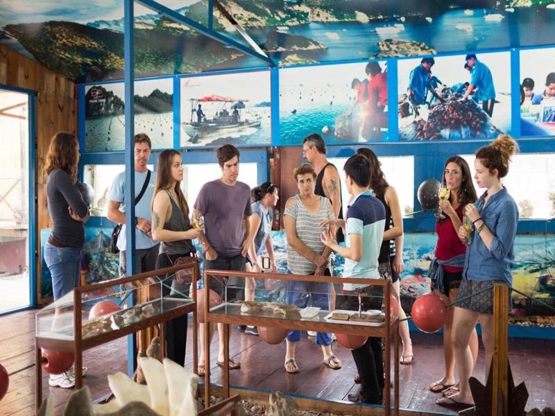 Charm Boutique Cruise Ha Long Exterior foto